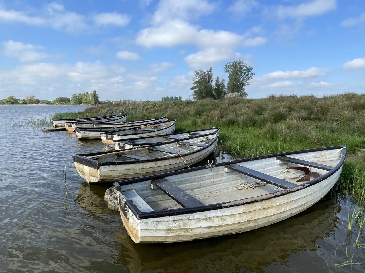 Elinor Trout Fishery