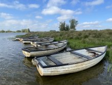 Elinor Trout Fishery