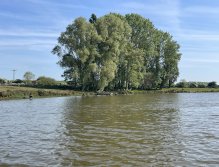 Elinor Trout Fishery