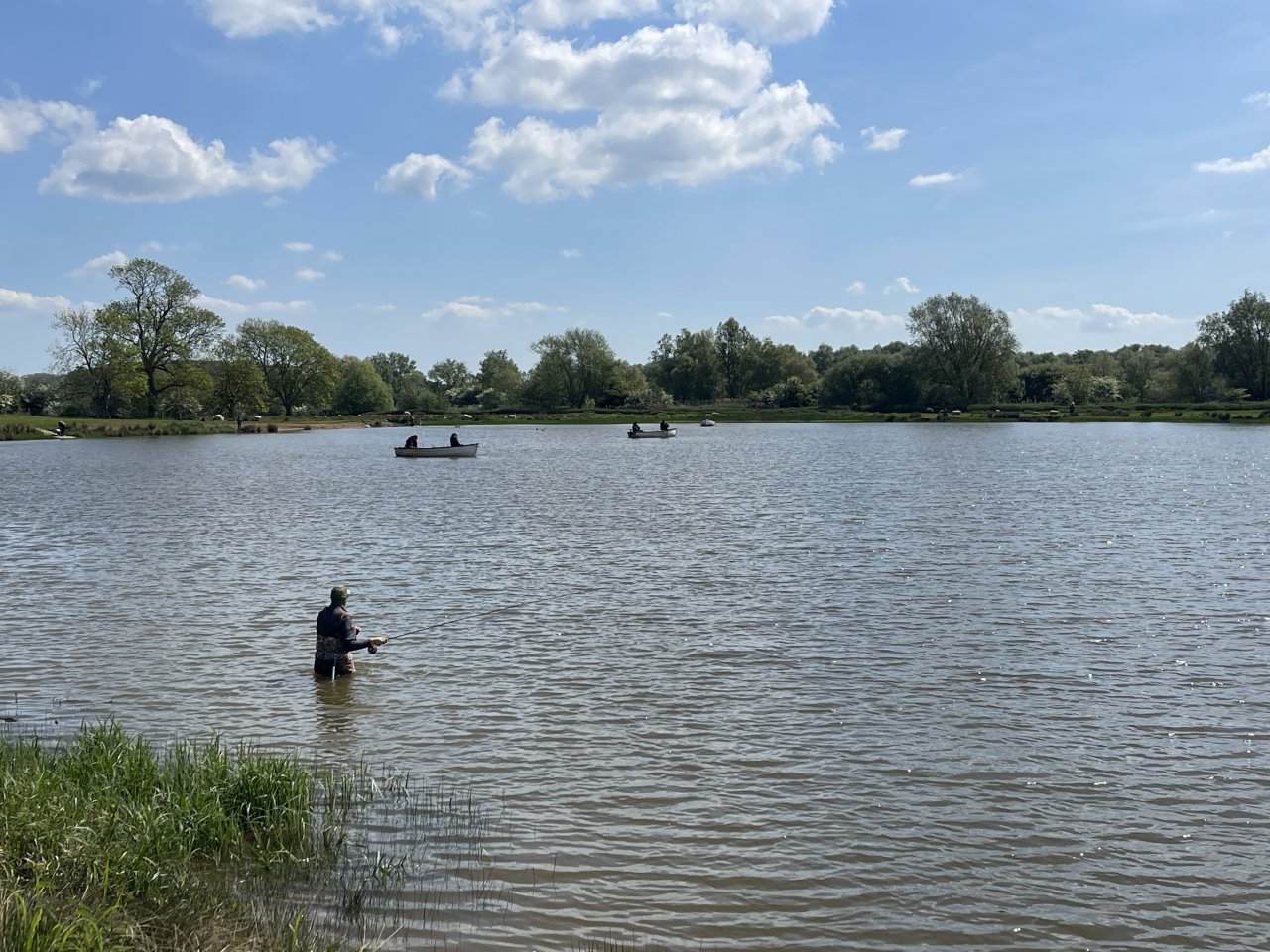Elinor Trout Fishery