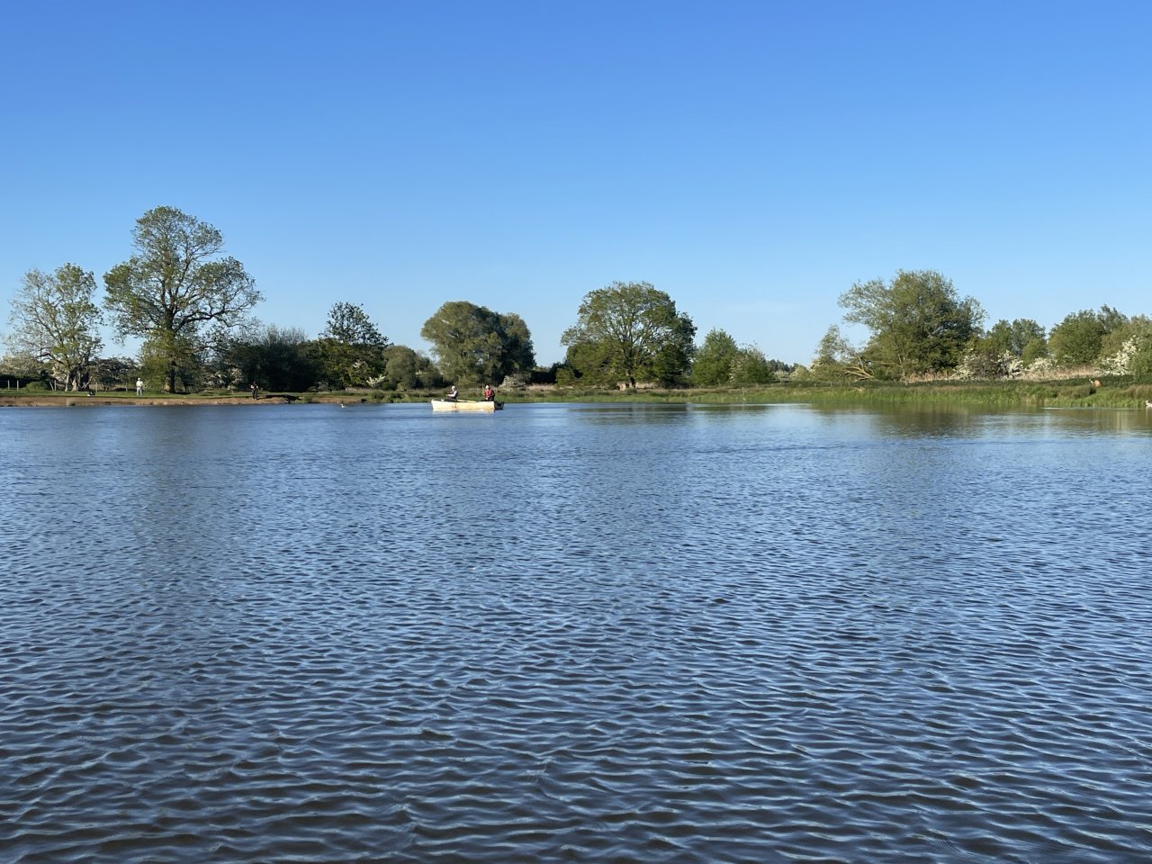 Elinor Trout Fishery