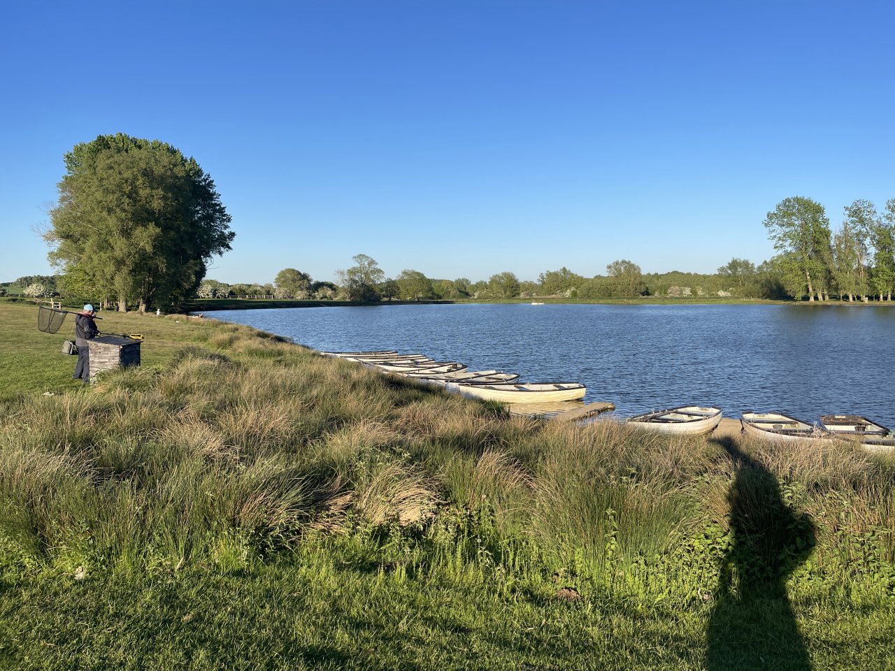 Elinor Trout Fishery