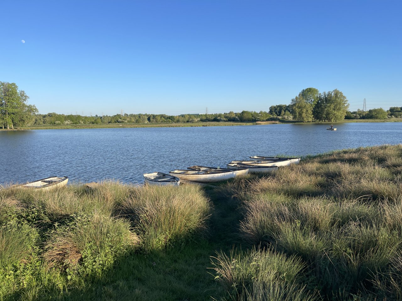 Elinor Trout Fishery