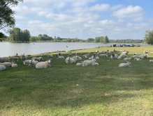 Elinor Trout Fishery