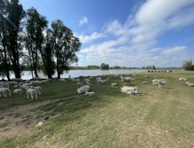 Elinor Trout Fishery