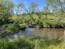 Malše pod Dolním Dvořištěm