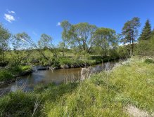 Malše pod Dolním Dvořištěm