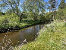 Malše pod Dolním Dvořištěm