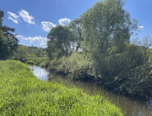 Malše pod Dolním Dvořištěm