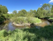 Malše pod Dolním Dvořištěm