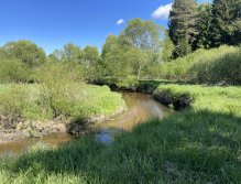 Malše pod Dolním Dvořištěm