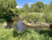 Malše pod Dolním Dvořištěm