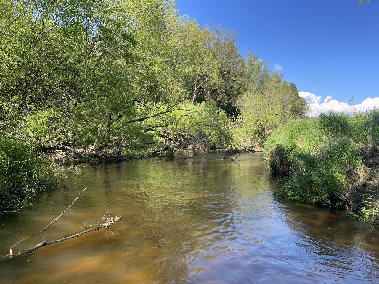 Mal�e pod Doln�m Dvo�i�t�m