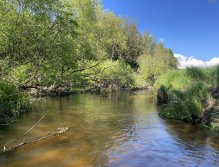 Malše pod Dolním Dvořištěm