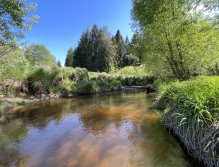 Malše pod Dolním Dvořištěm