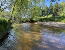 Malše pod Dolním Dvořištěm