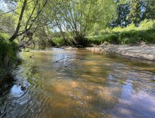 Malše pod Dolním Dvořištěm