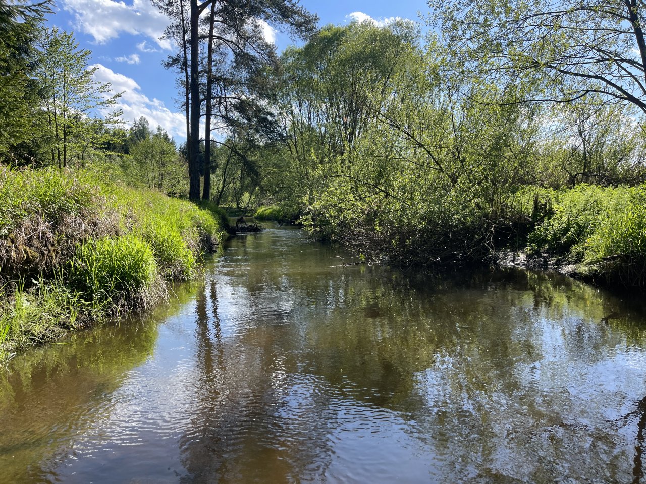 Mal�e pod Doln�m Dvo�i�t�m