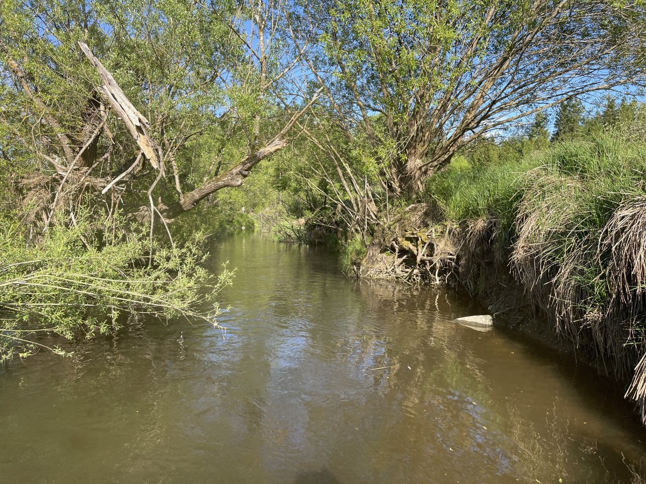 Mal�e pod Doln�m Dvo�i�t�m