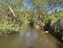 Malše pod Dolním Dvořištěm