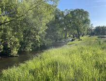 Malše pod Dolním Dvořištěm