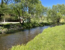 Malše pod Dolním Dvořištěm