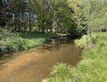 Malše pod Dolním Dvořištěm