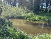 Malše pod Dolním Dvořištěm