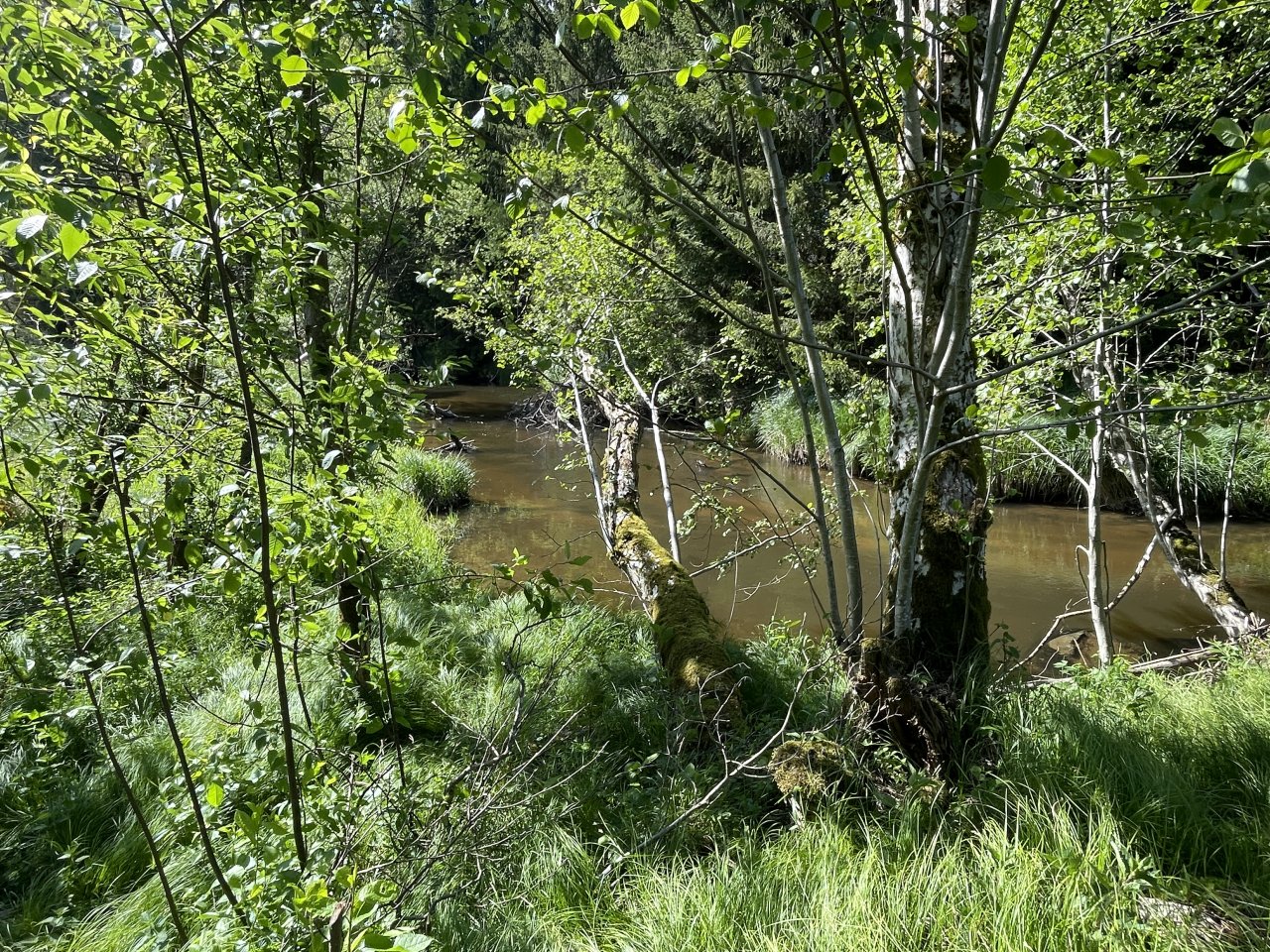 Mal�e pod Doln�m Dvo�i�t�m