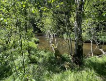 Malše pod Dolním Dvořištěm