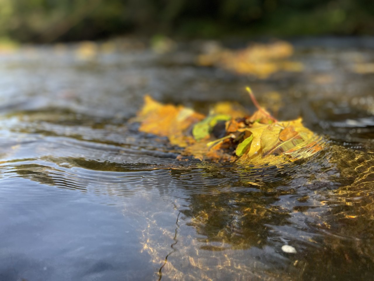 Lit�vka v Lochovic�ch