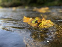 Litávka v Lochovicích