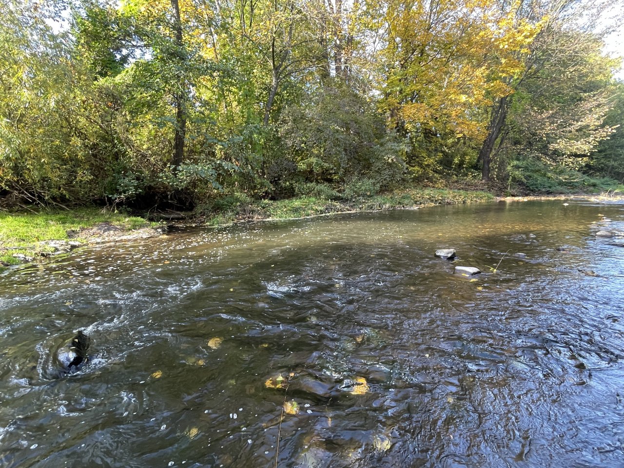 Lit�vka v Lochovic�ch