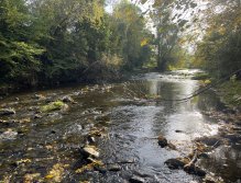 Litávka v Lochovicích