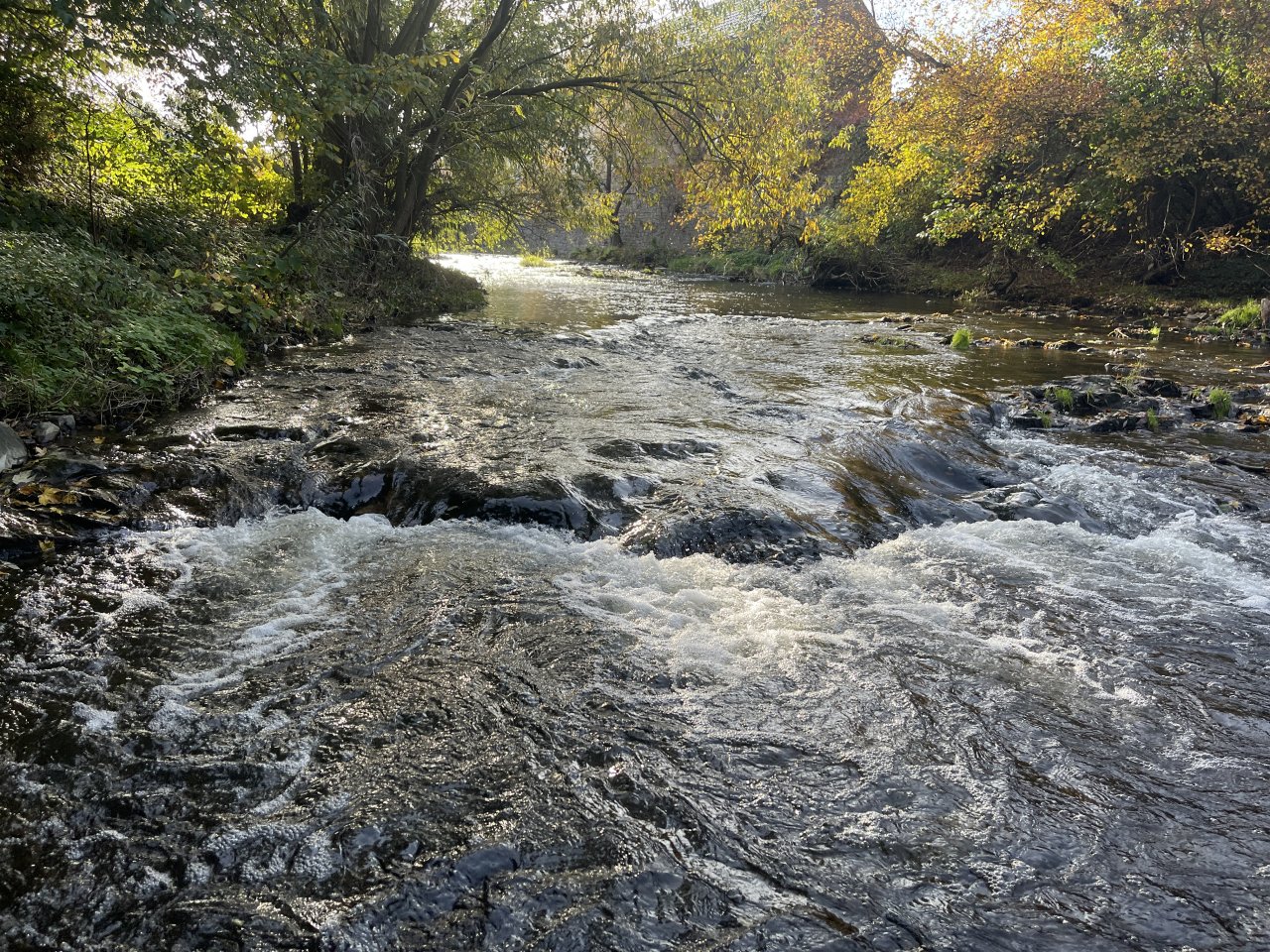 Lit�vka v Lochovic�ch