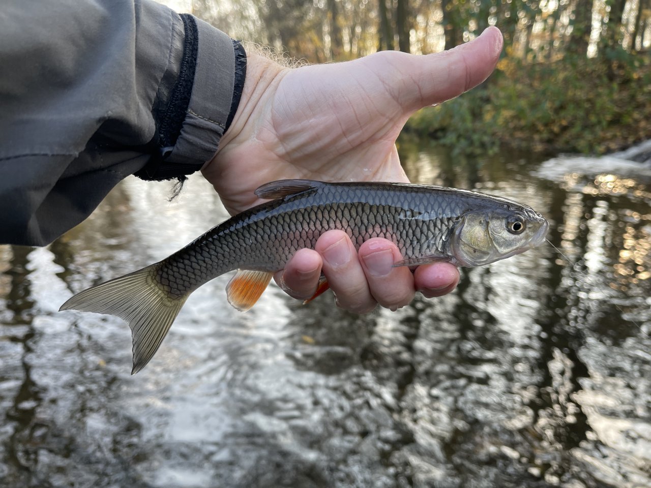 Lit�vka v Lochovic�ch