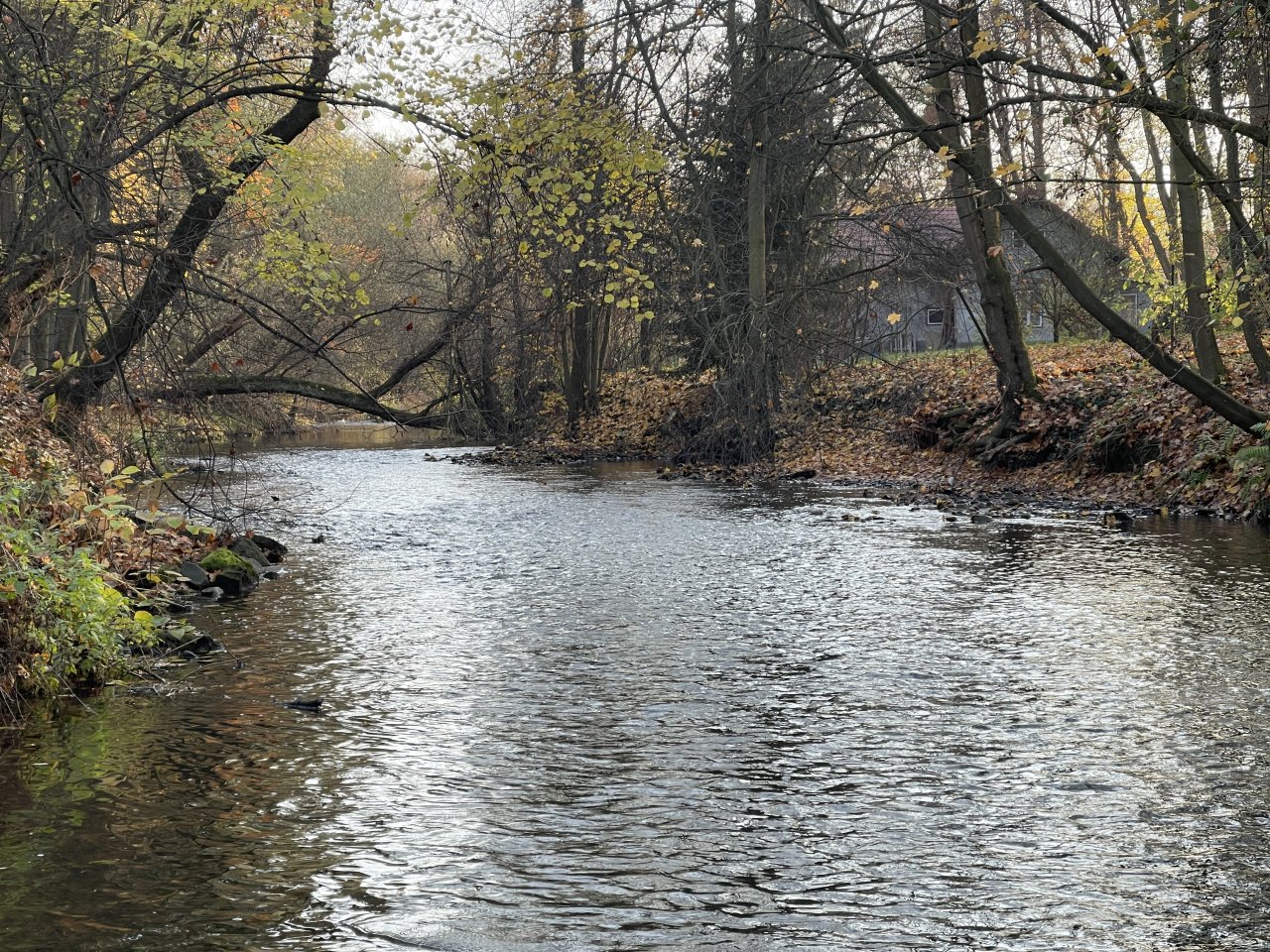 Lit�vka v Lochovic�ch