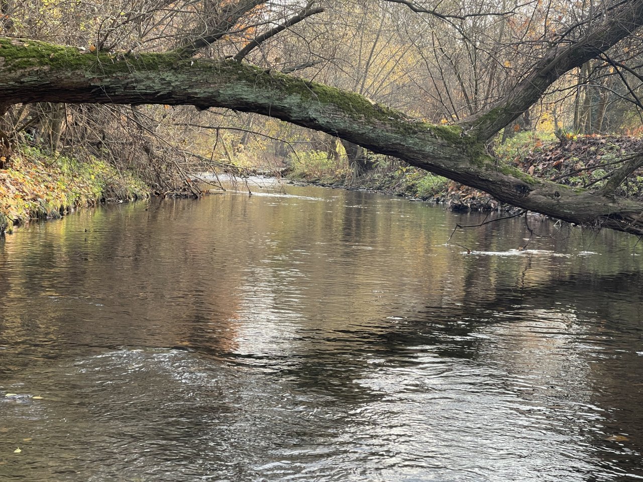 Lit�vka v Lochovic�ch