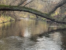 Litávka v Lochovicích