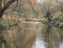 Litávka v Lochovicích