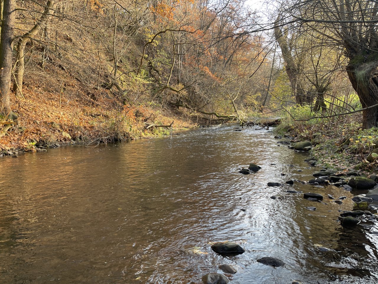 Lit�vka v Lochovic�ch