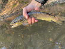 Litávka v Lochovicích