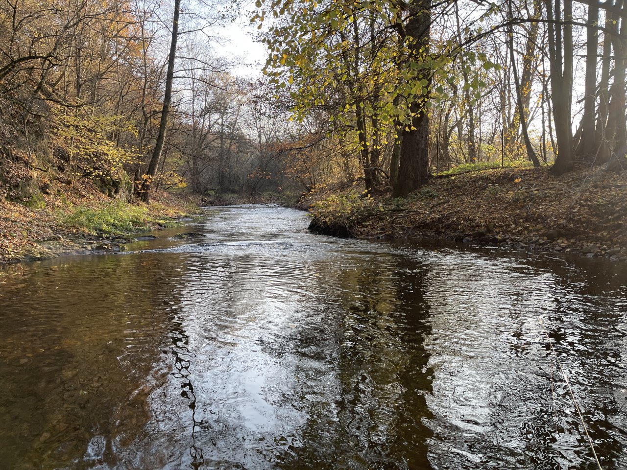 Lit�vka v Lochovic�ch