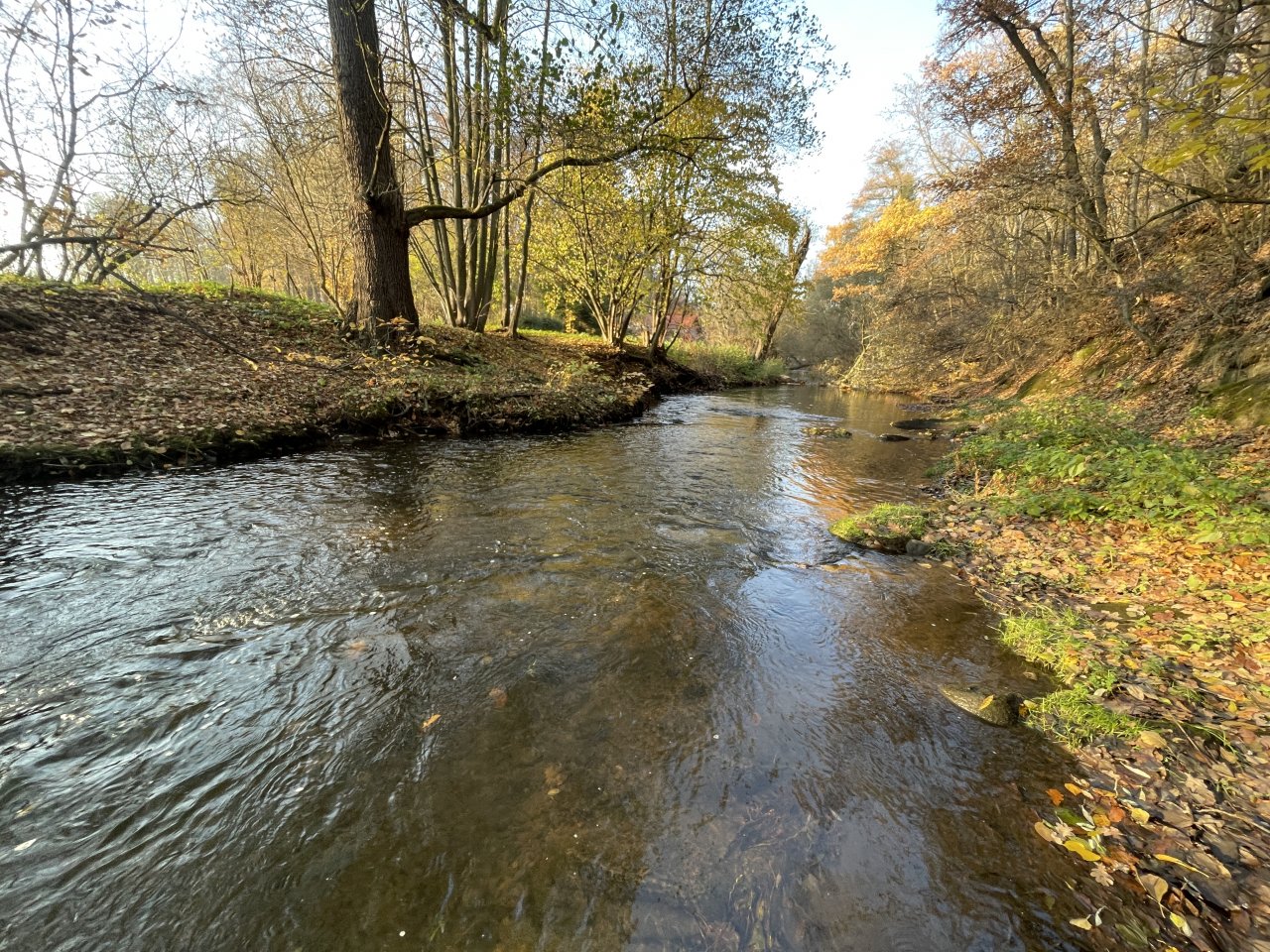 Lit�vka v Lochovic�ch