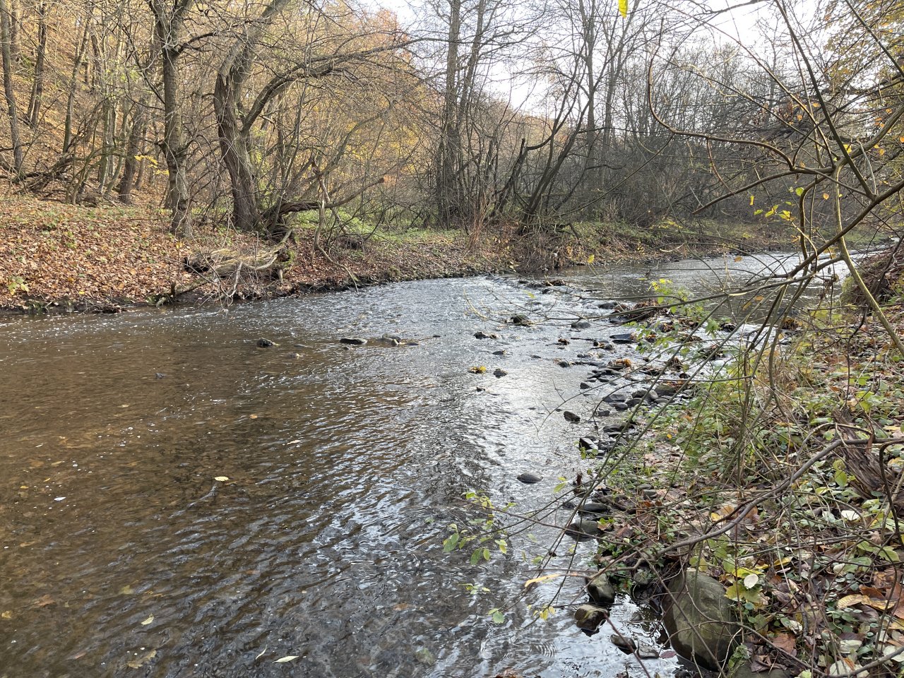 Lit�vka v Lochovic�ch