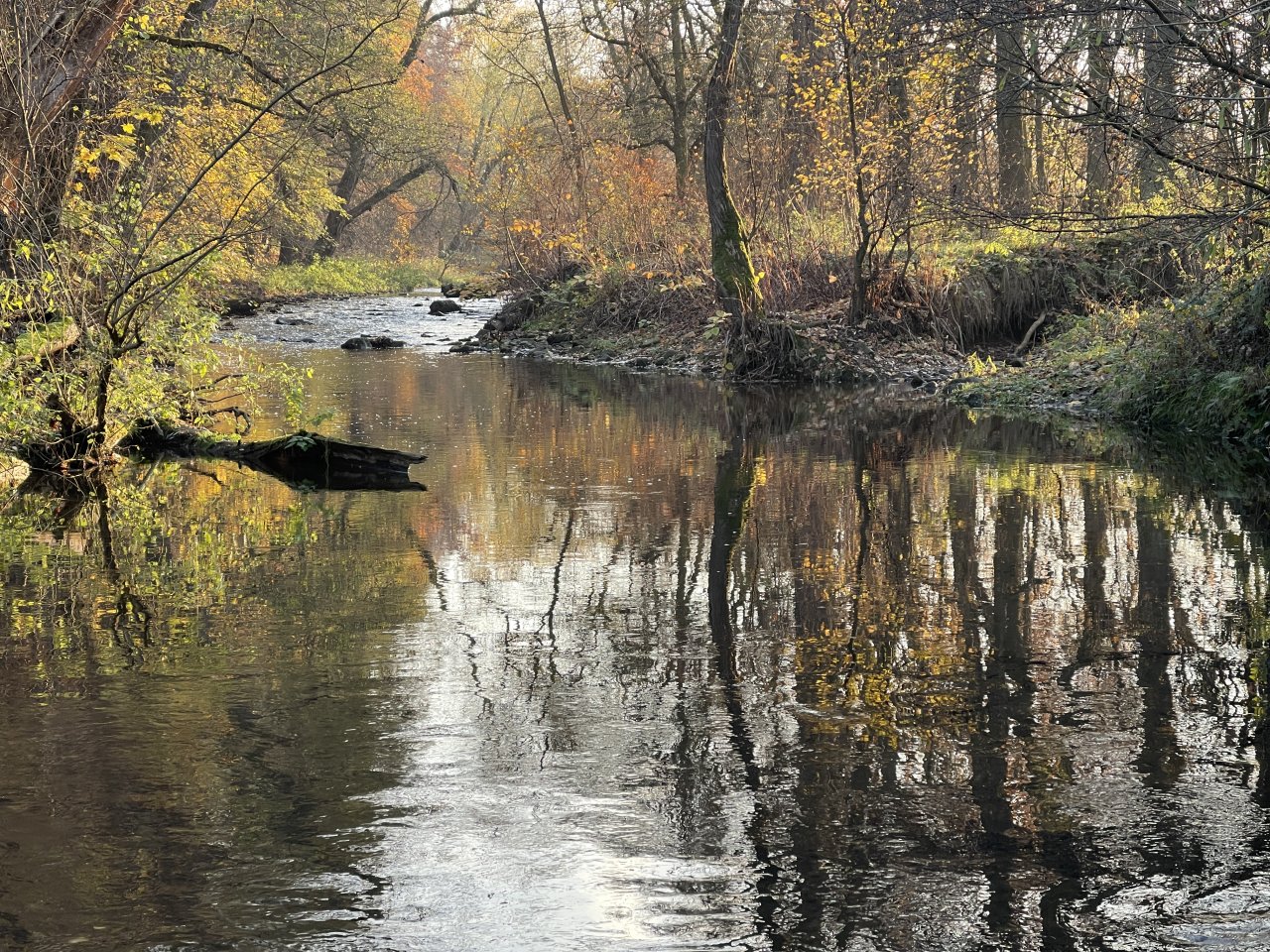 Lit�vka v Lochovic�ch