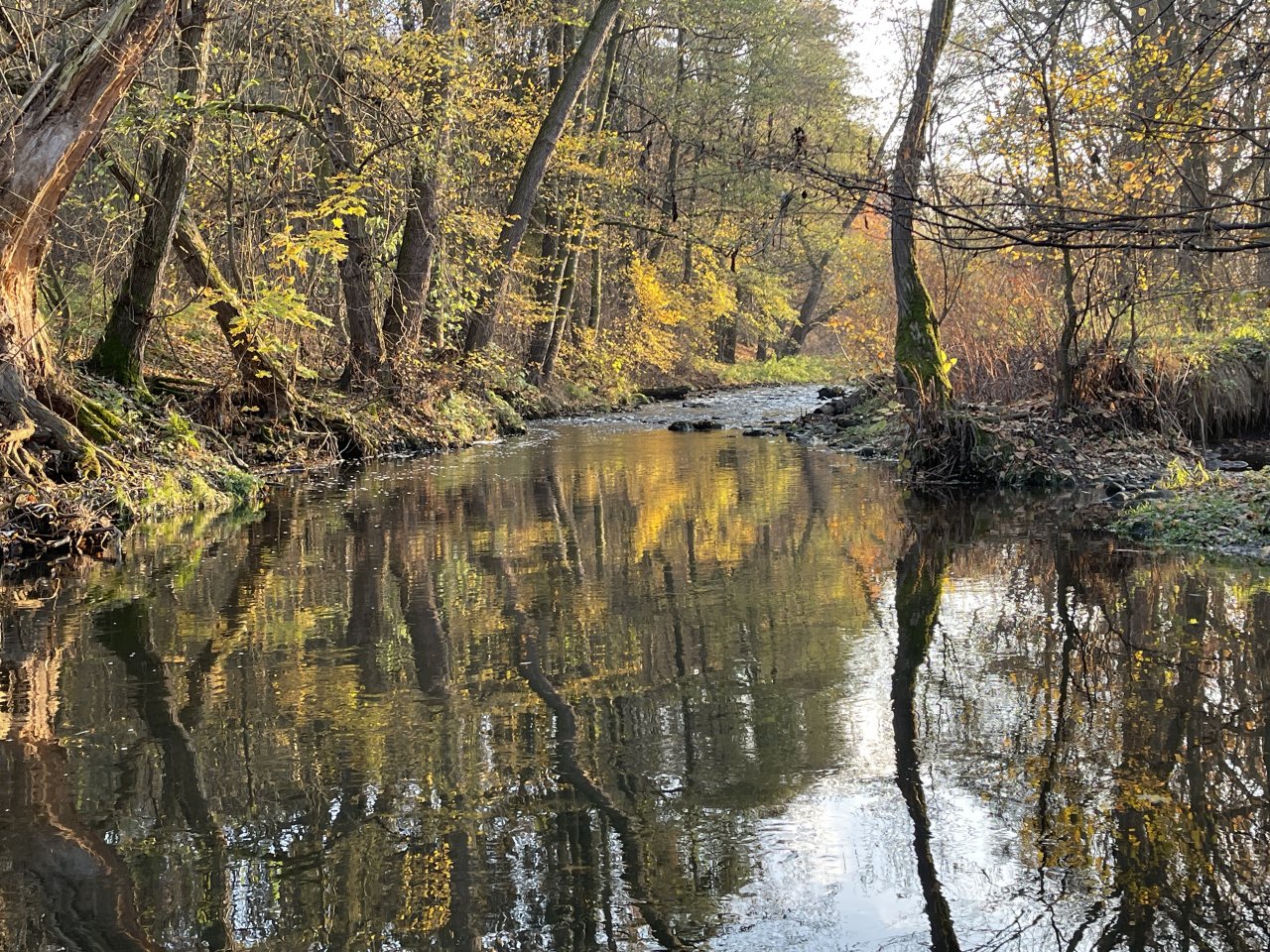 Lit�vka v Lochovic�ch