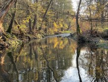 Litávka v Lochovicích