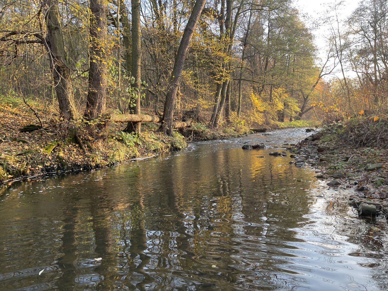 Lit�vka v Lochovic�ch