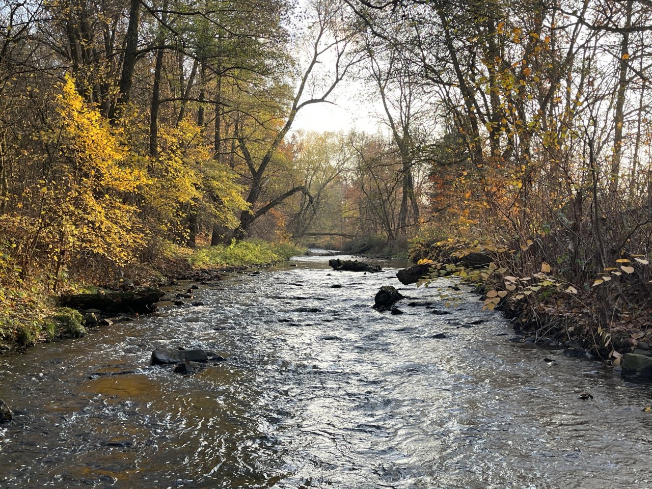 Lit�vka v Lochovic�ch